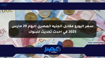 سعر اليورو مقابل الجنيه المصري اليوم 29 مارس 2025 في أحدث تحديث للبنوك